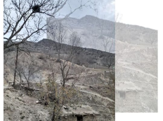 خدمات تخصصی گرافیک در قزوین