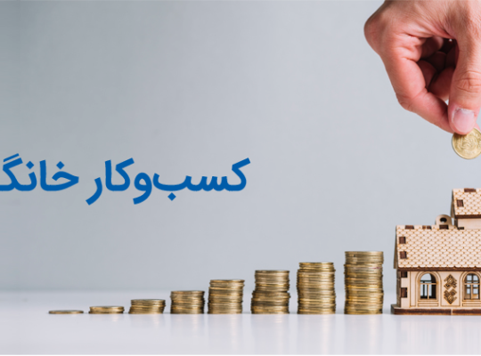 12 راه برای کسب درآمد در خانه ویژه سال 2024