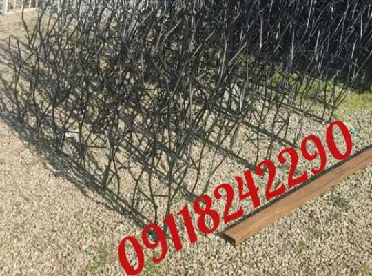 ساخت نصب شاخ گوزنی درب آکاردئونی ایمان در مازندران قائمشهر