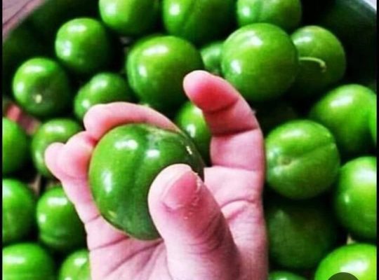 تره بار مرکزی تهران صداقت