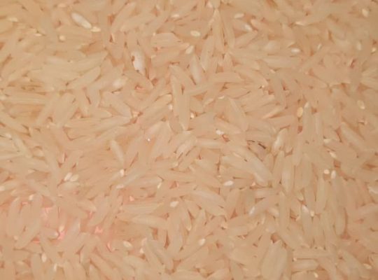 فروش برنج طارم هاشمی و طارم صدری شمال در تهران