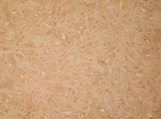 فروش برنج طارم هاشمی و طارم صدری شمال در تهران