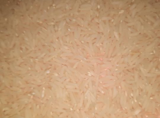 فروش برنج طارم هاشمی و طارم صدری شمال در تهران