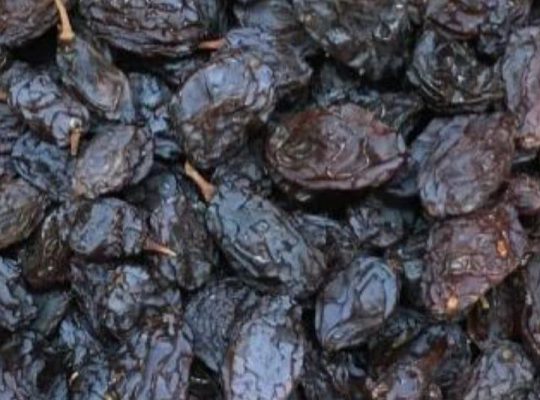 کشمش افتابی مویز شیراز شیره انگور
