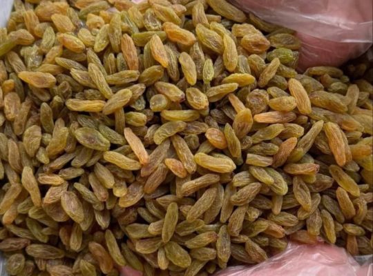 کشمش افتابی مویز شیراز شیره انگور