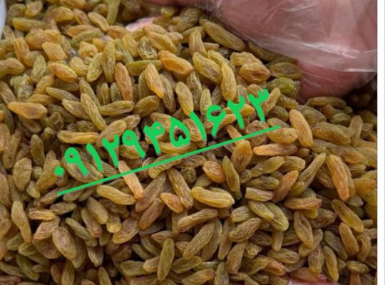 کشمش افتابی مویز شیراز شیره انگور