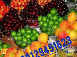 میوه میوه های چهار فصل مجلسی تالار جشن عروسی مراسم
