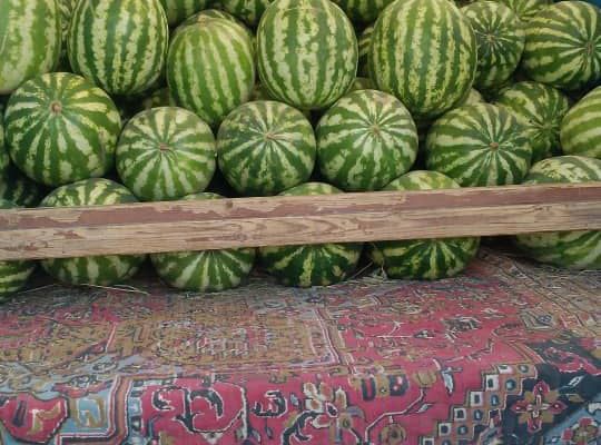 میوه فروشی لوکس در شهرستان مهاباد