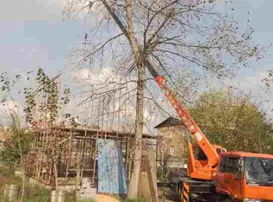 جرثقیل کفی دار دکل بلند در گیلان