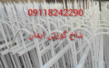 شاخ گوزنی ایمان در نور