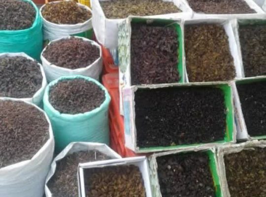 میوه های نوبرانه بهاری در بازار بزرگ تهران 09129451623