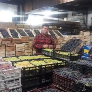 بهترین و با کیفیت ترین کشمش و شیره در بازار تهران 09129451623