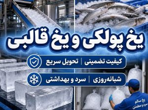 فروش عمده یخ قالبی و پولکی در شیراز با ارسال سریع