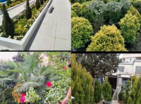 خدمات باغبانی در تهران 09103802125