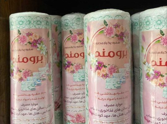 شرکت تولیدی ظروف یکبارمصرف برومند توانا توس