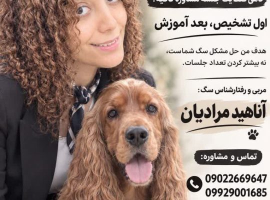 مربی و رفتار شناس سگ در  ساری  مازندران