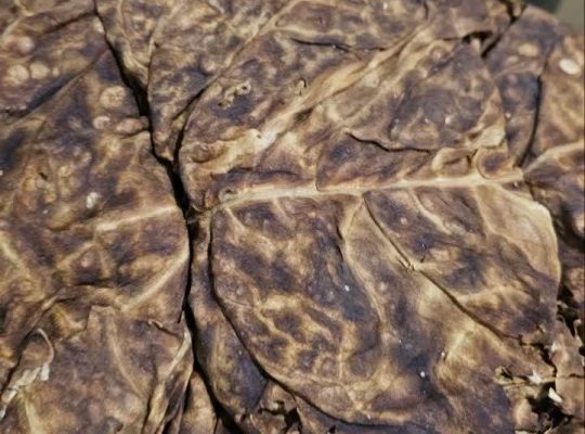 فروش انواع تنباکو بنیاد در بوشهر شهر کاکی